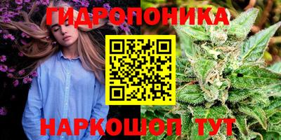 мяу мяу мука Нягань