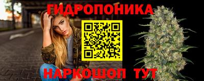 2c-b Обь