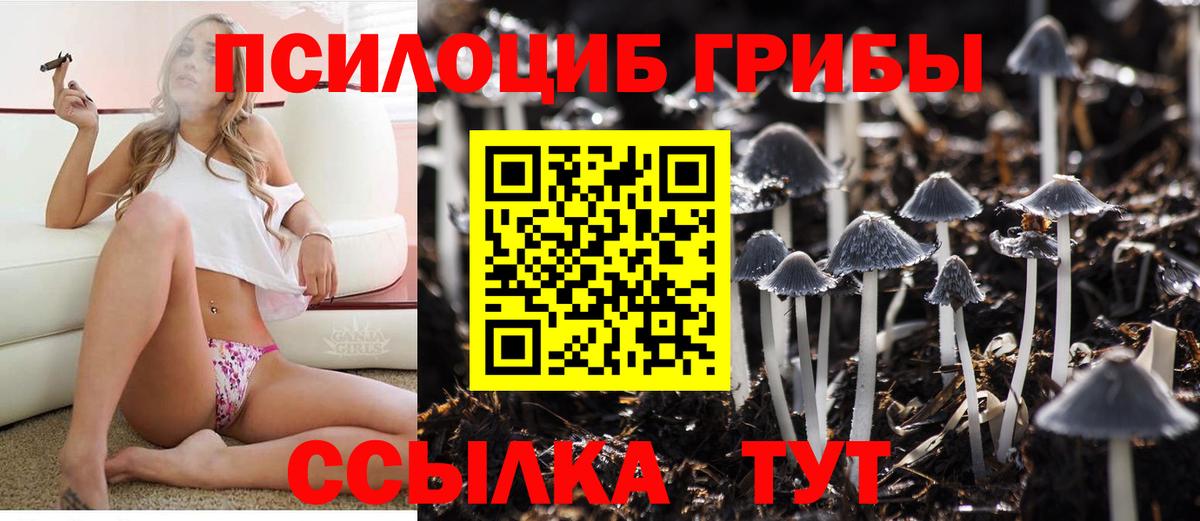 Усолье-Сибирское  Псилоцибиновые грибы мицелий  Вход с VPN 