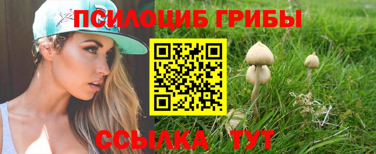 Галлюциногенные грибы мухоморы Усолье-Сибирское